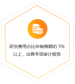研發費用占比年銷售額的 5% 以上，出具專項審計報告 